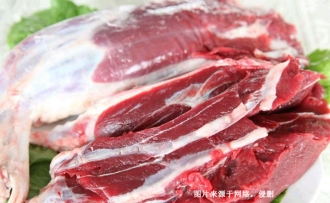 阿根廷冷凍牛肉進口報關資料到天津代理海運案例